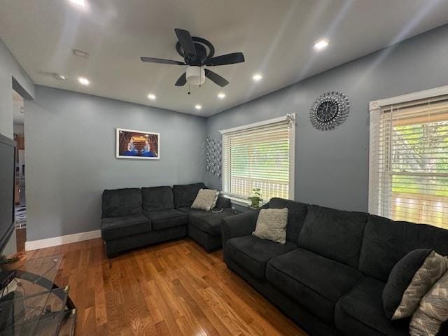 living room featuring ceiling fan and wood-type flooring