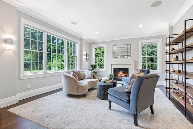 living room featuring dark hardwood / wood-style floors and ornamental molding