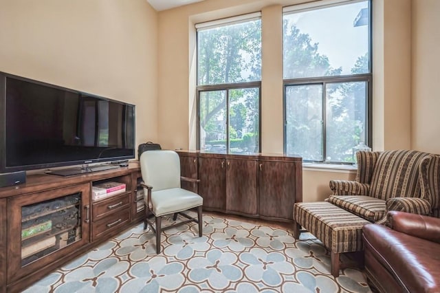 sitting room with plenty of natural light