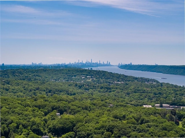 11 Carriage Trl, Tarrytown, NY 10591 - bird's eye view of a large body of water and a heavily wooded area