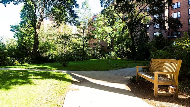 surrounding community featuring a lawn