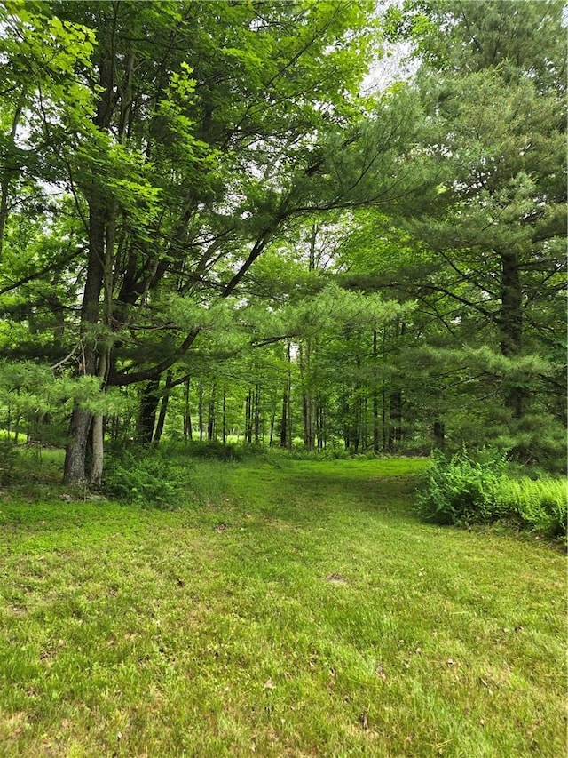 Listing photo 2 for Otens Rd, Ellenville NY 12424