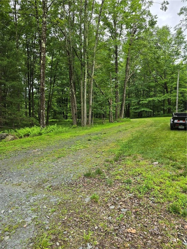 Listing photo 3 for Otens Rd, Ellenville NY 12424