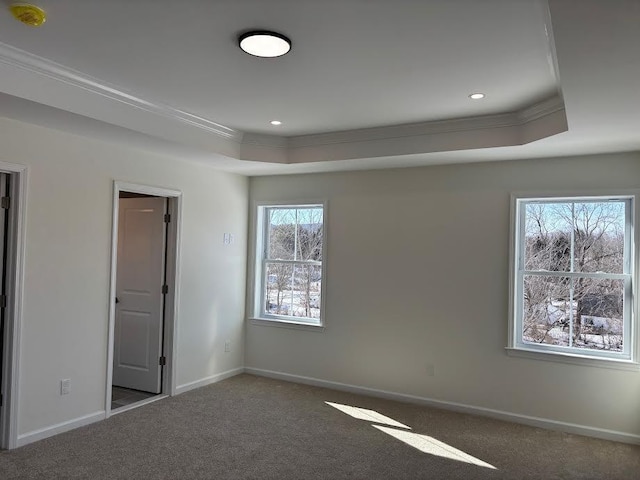 carpeted empty room featuring crown molding and a raised ceiling