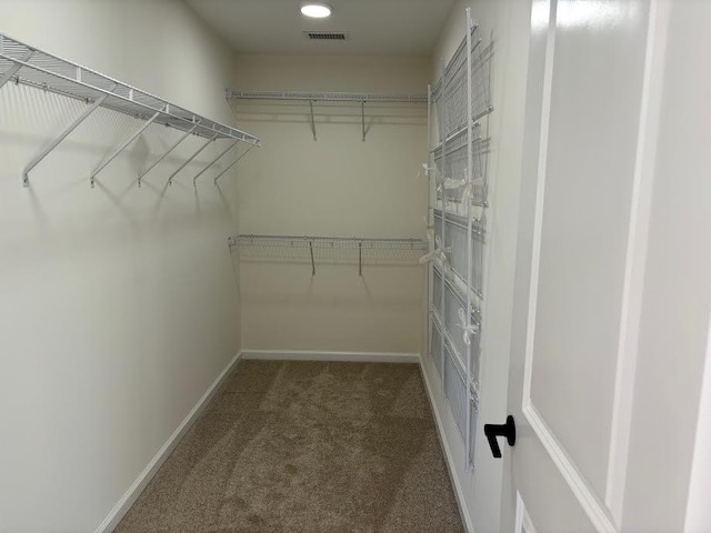 spacious closet featuring carpet floors