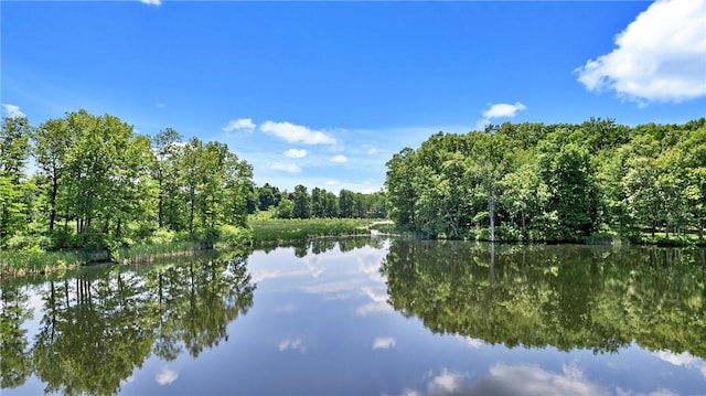 view of water feature