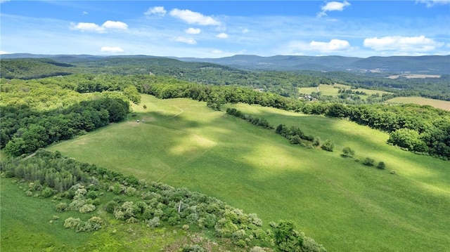 aerial view with a mountain view