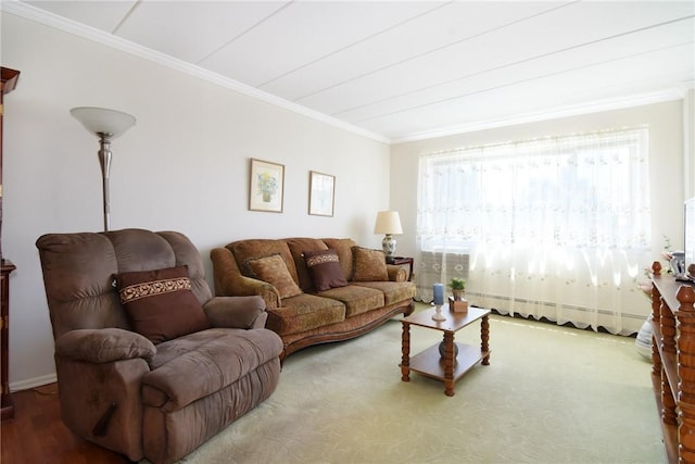 living room featuring crown molding