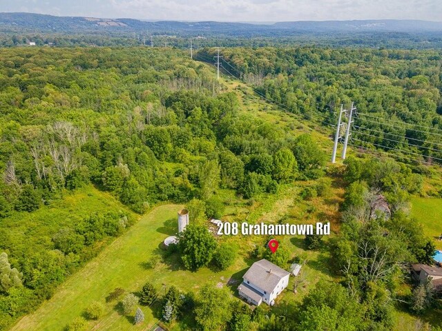 208 Grahamtown Rd, Middletown, NY 10940 - photo 20