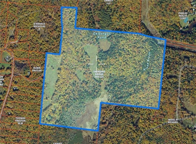 668 Starlight Rd, Monticello NY, 12701 land for sale