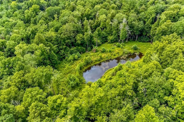 668 Starlight Rd, Monticello, NY 12701 - photo 10