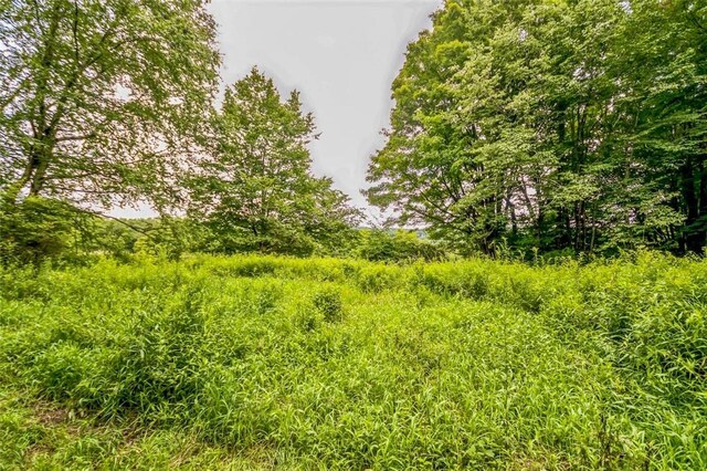 668 Starlight Rd, Monticello, NY 12701 - photo 18