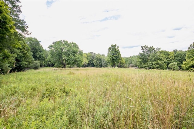 668 Starlight Rd, Monticello, NY 12701 - photo 19