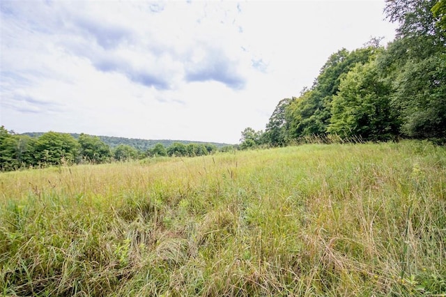 668 Starlight Rd, Monticello, NY 12701 - photo 20