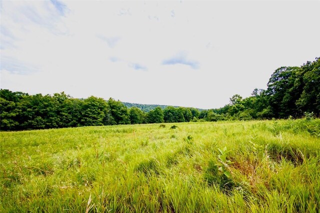 668 Starlight Rd, Monticello, NY 12701 - photo 22