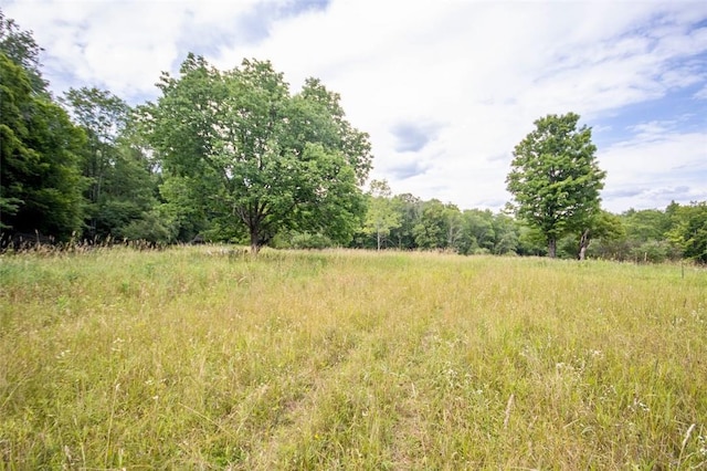668 Starlight Rd, Monticello, NY 12701 - photo 23