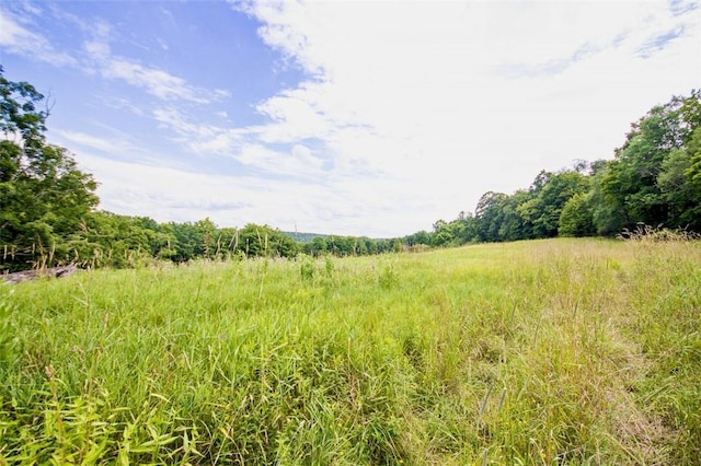 668 Starlight Rd, Monticello, NY 12701 - photo 25
