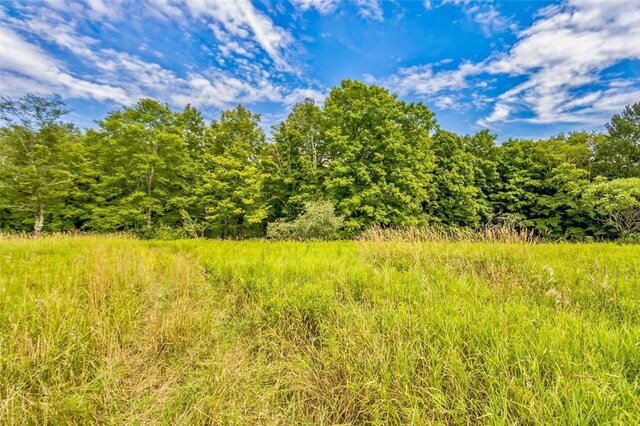 668 Starlight Rd, Monticello, NY 12701 - photo 26