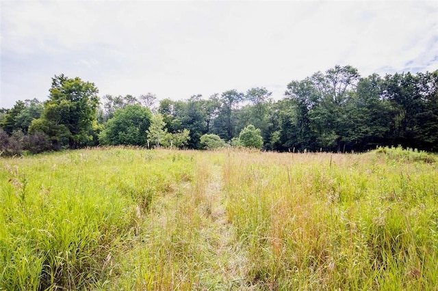 668 Starlight Rd, Monticello, NY 12701 - photo 28