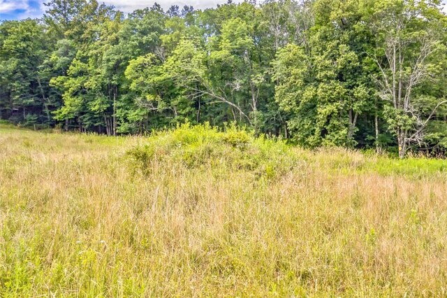 668 Starlight Rd, Monticello, NY 12701 - photo 29