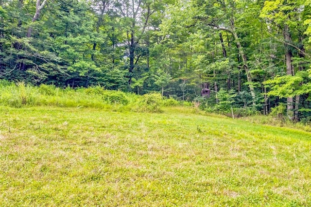 668 Starlight Rd, Monticello, NY 12701 - photo 30