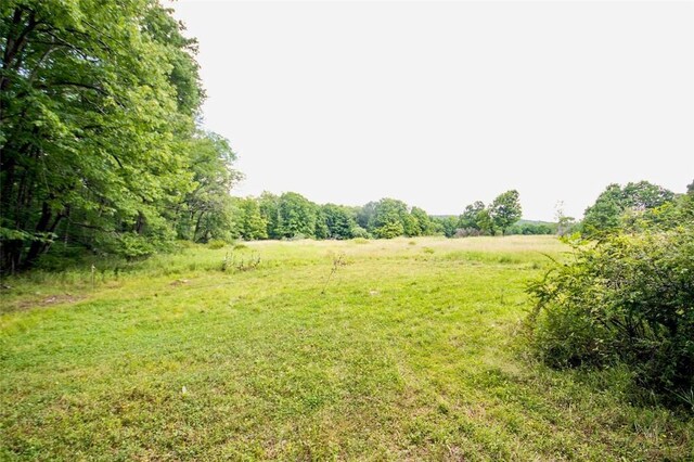 668 Starlight Rd, Monticello, NY 12701 - photo 31