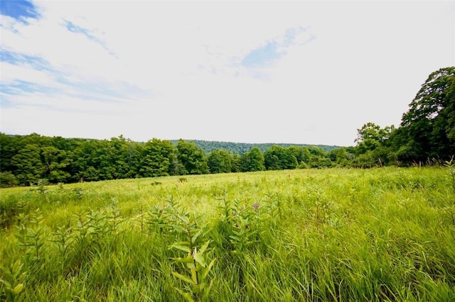 668 Starlight Rd, Monticello, NY 12701 - photo 33