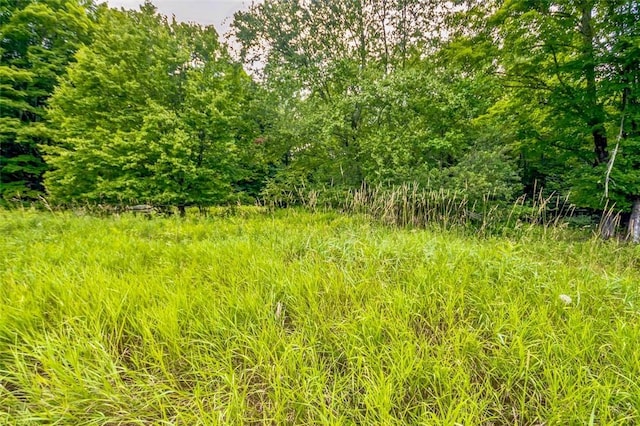 668 Starlight Rd, Monticello, NY 12701 - photo 34