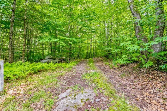 668 Starlight Rd, Monticello, NY 12701 - photo 35