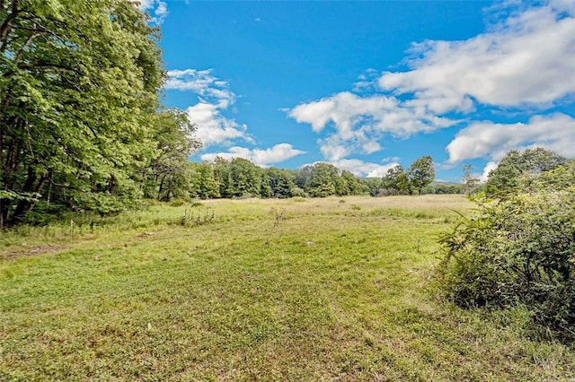 668 Starlight Rd, Monticello, NY 12701 - photo 37