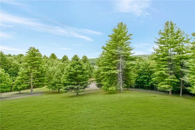 941 Starlight Rd, Monticello, NY 12701 - photo 35