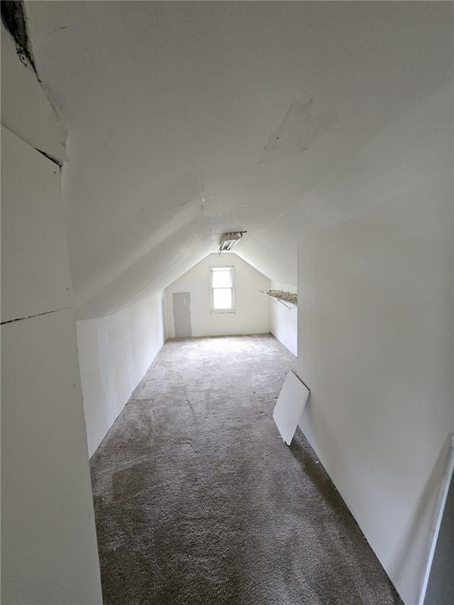 bonus room with carpet floors and vaulted ceiling