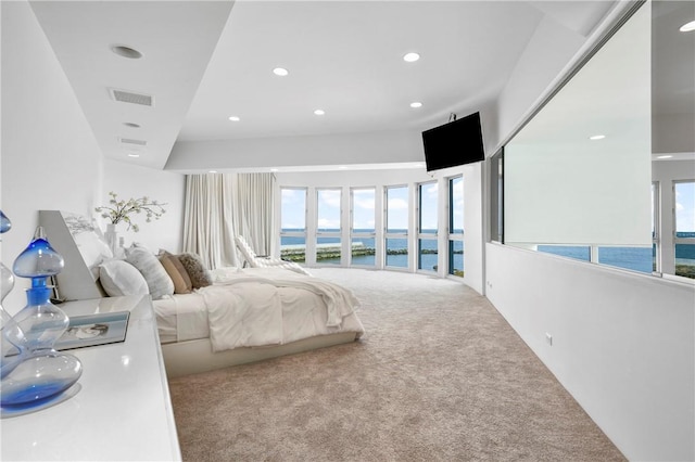 bedroom with carpet floors and multiple windows