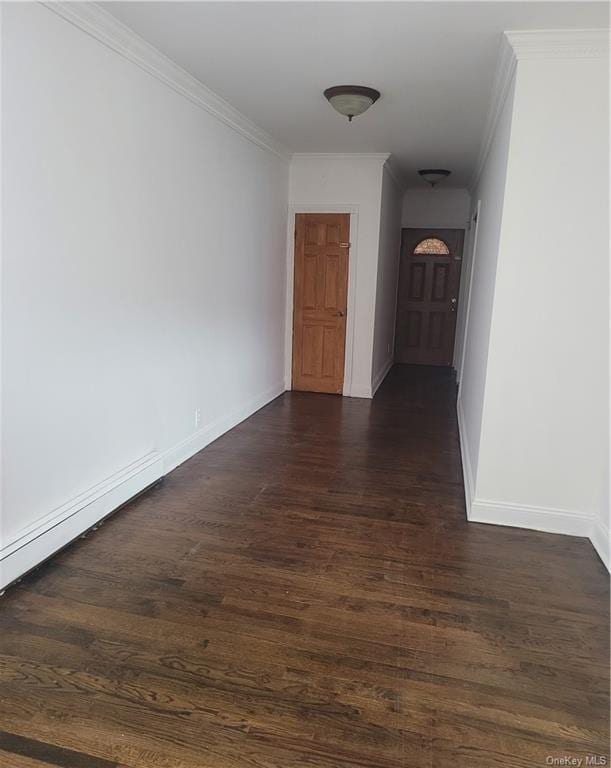 corridor with crown molding and dark wood-type flooring