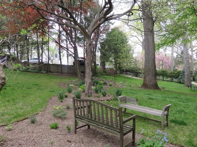 915 Wynnewood Rd Unit G2, Pelham, NY 10803 - view of green lawn