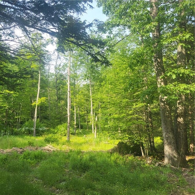 Aldrich Rd, Wurtsboro NY, 12790 land for sale