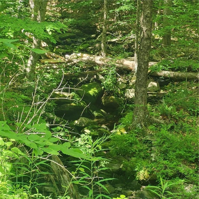 Aldrich Rd, Wurtsboro, NY 12790 - photo 2