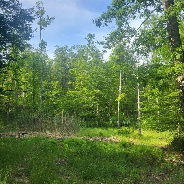 Aldrich Rd, Wurtsboro, NY 12790 - photo 3