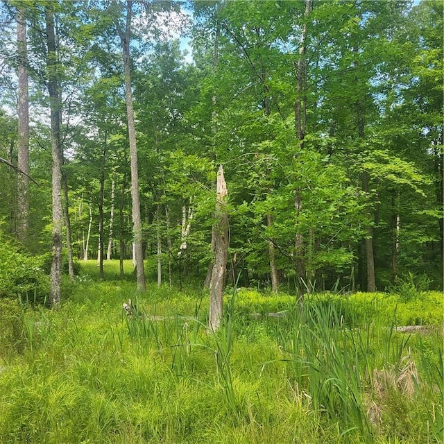 Aldrich Rd, Wurtsboro, NY 12790 - photo 4