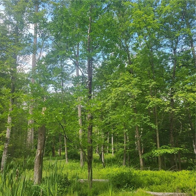 Aldrich Rd, Wurtsboro, NY 12790 - photo 5