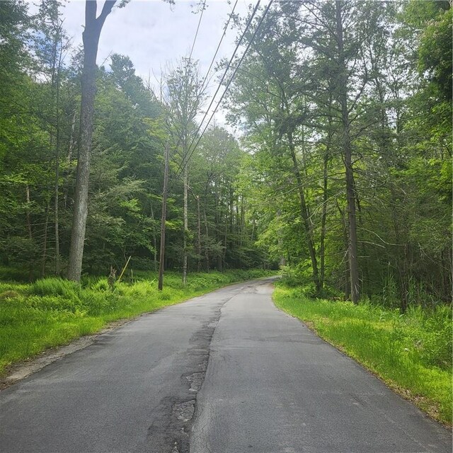 Aldrich Rd, Wurtsboro, NY 12790 - photo 12