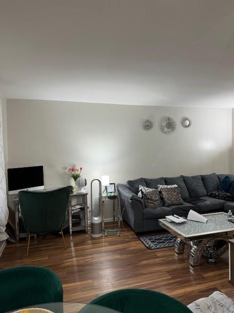 living room featuring dark wood-type flooring