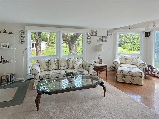 living room with hardwood / wood-style floors and lofted ceiling