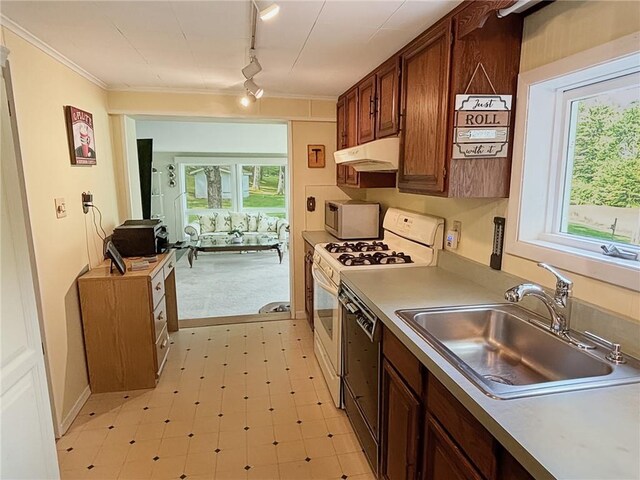 kitchen with sink, rail lighting, white appliances, and ornamental molding