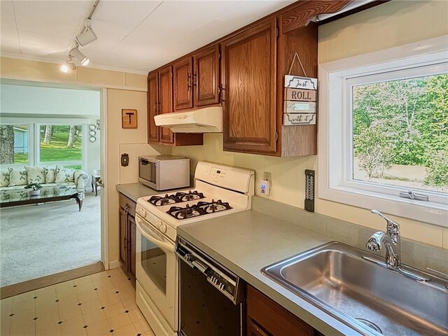 kitchen featuring a wealth of natural light, sink, rail lighting, and white appliances