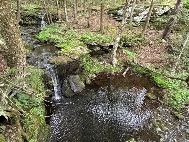 view of local wilderness