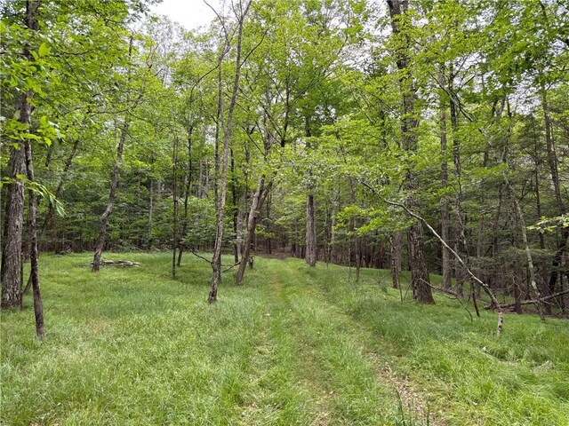 view of landscape