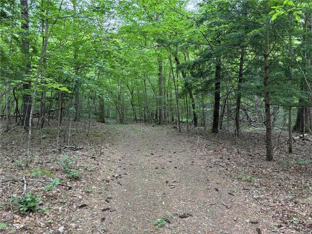 view of local wilderness