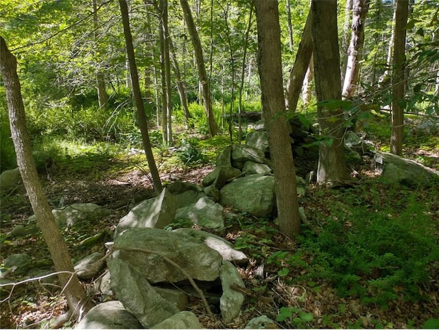 Bell Hollow Rd, Putnam Valley, NY 10579 - photo 4