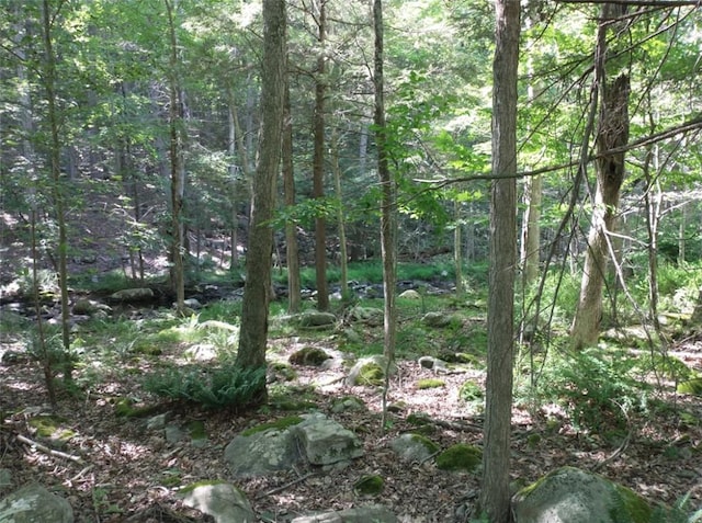 Bell Hollow Rd, Putnam Valley, NY 10579 - photo 5